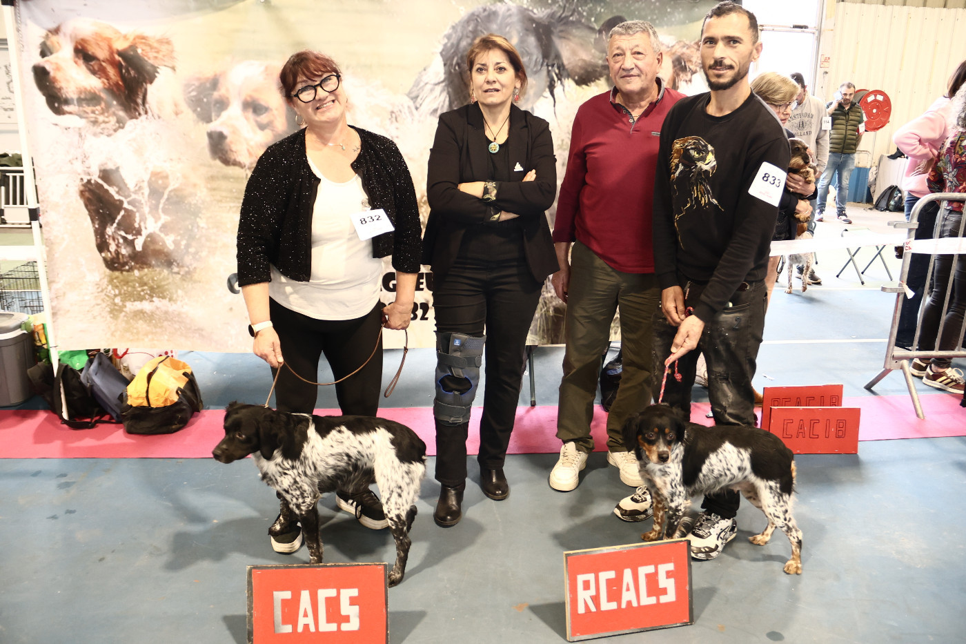 CACIB - CACS + MEILLEUR DE SEXE OPPOSE + 1er EXCELLENT classe CIFAC - SPECIALE DE RACE - TARBES 2025