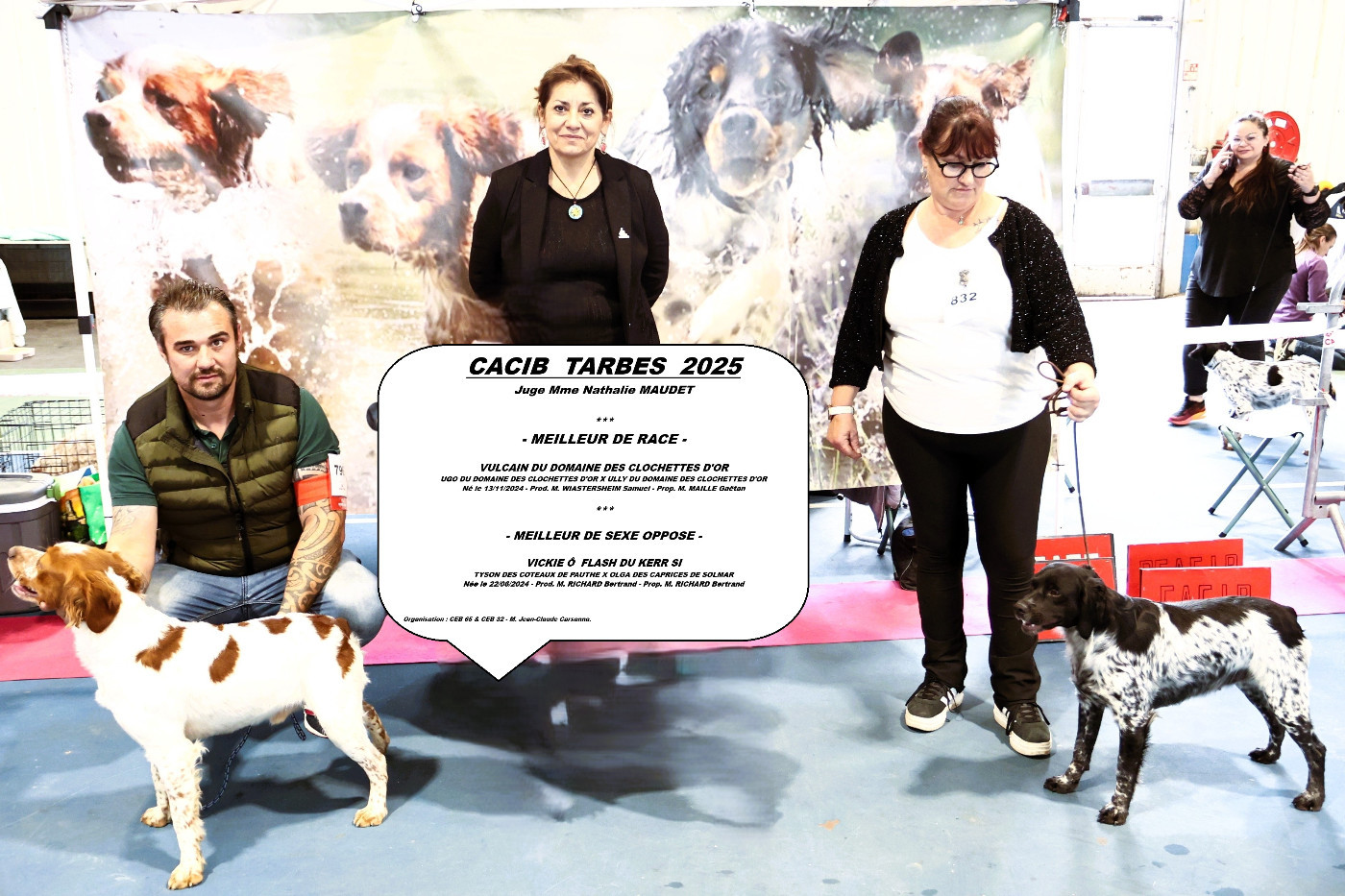 Exposition CACIB TARBES 20325 - Spéciale de Race le 16/11/25