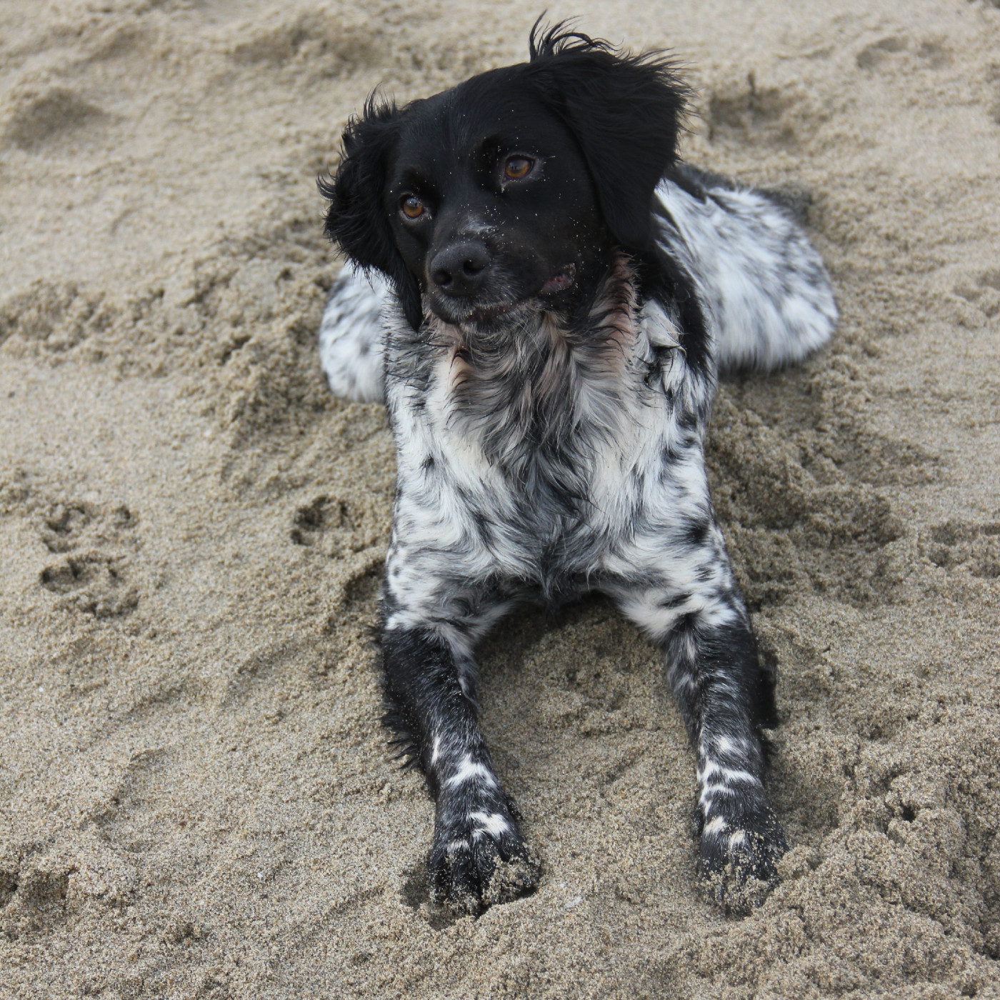 Florilège de photos de notre déplacement dans le Roussillon - JANVIER 2026