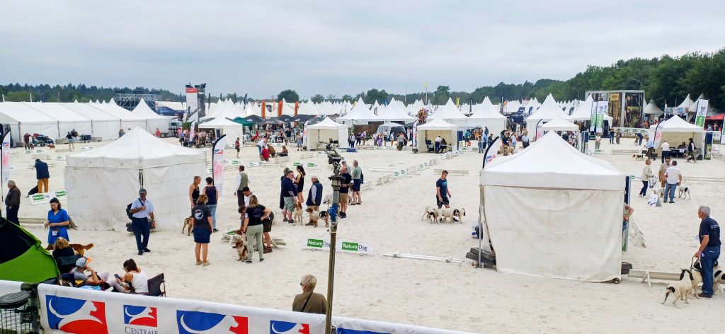 On est monté au GAME FAIR 2025 - Spéciale de Race