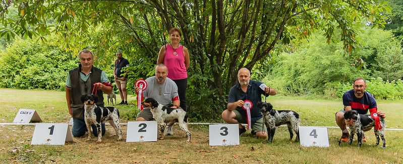 Expositions canines Annuelle et Nationale d'élevage - NE 2025
